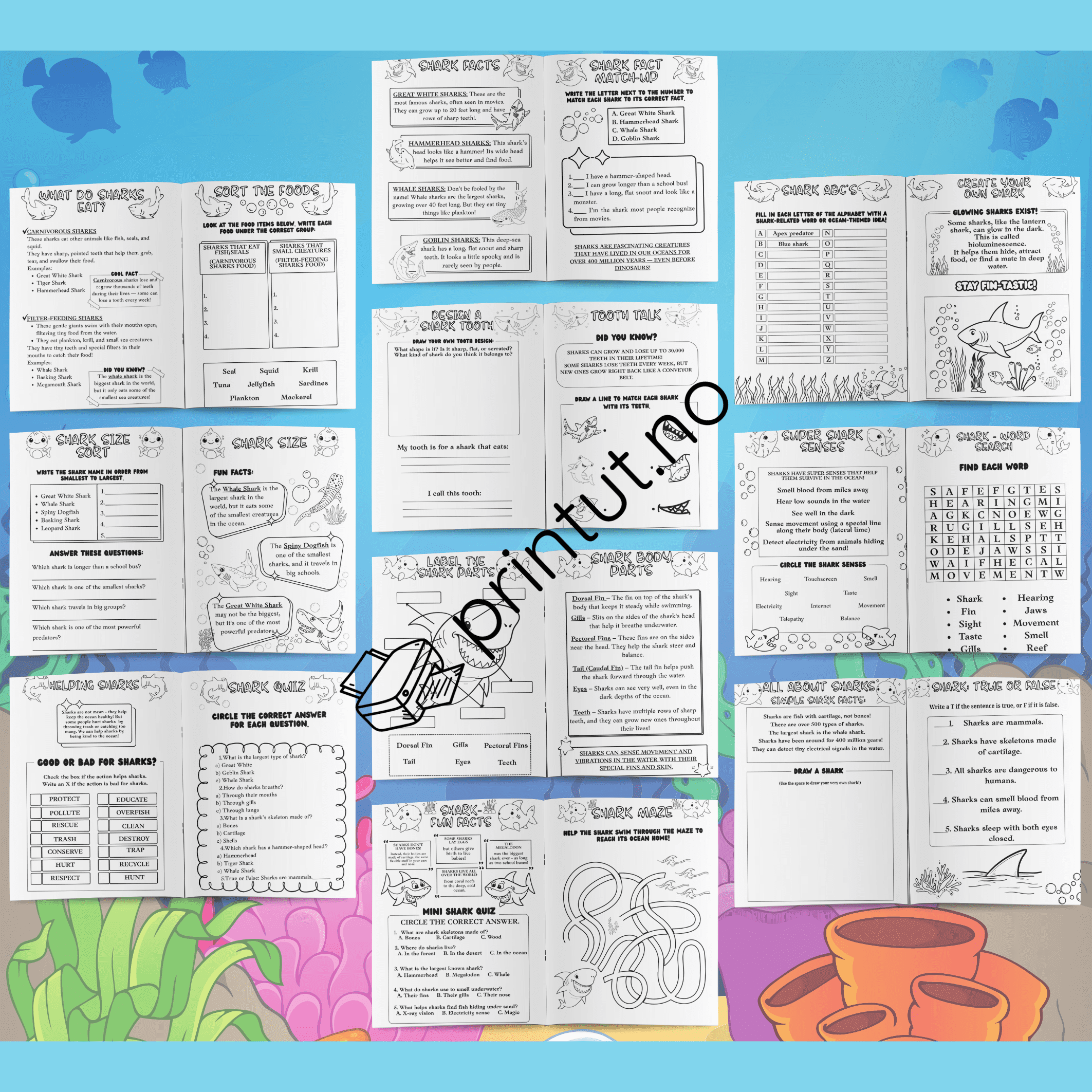 Sharck fact activitiy booklet - Bilde 2