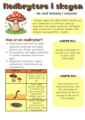 Nedbrytere