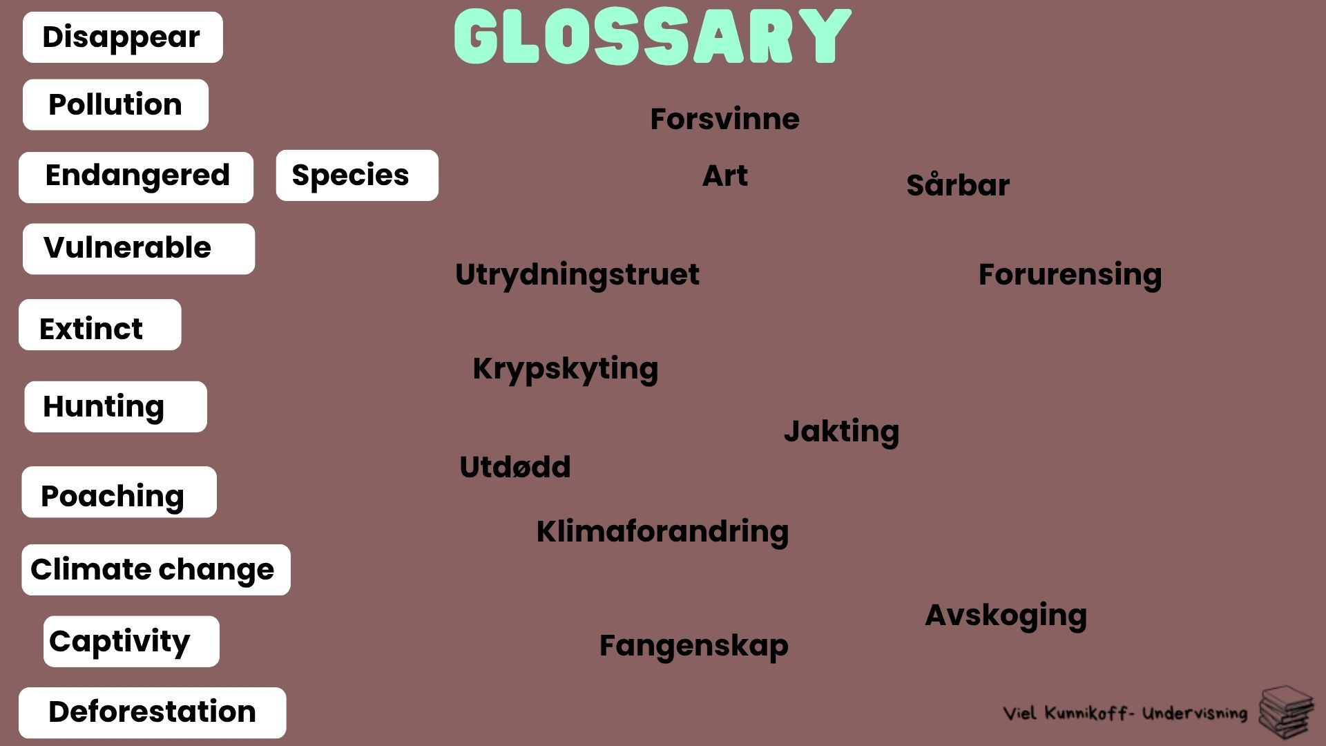 Endangered animals - Bærekraftig utvikling- undervisningsopplegg - Bilde 2