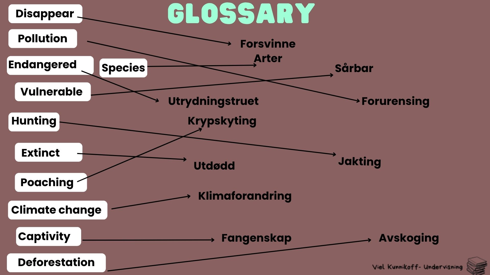 Endangered animals - Bærekraftig utvikling- undervisningsopplegg - Bilde 3