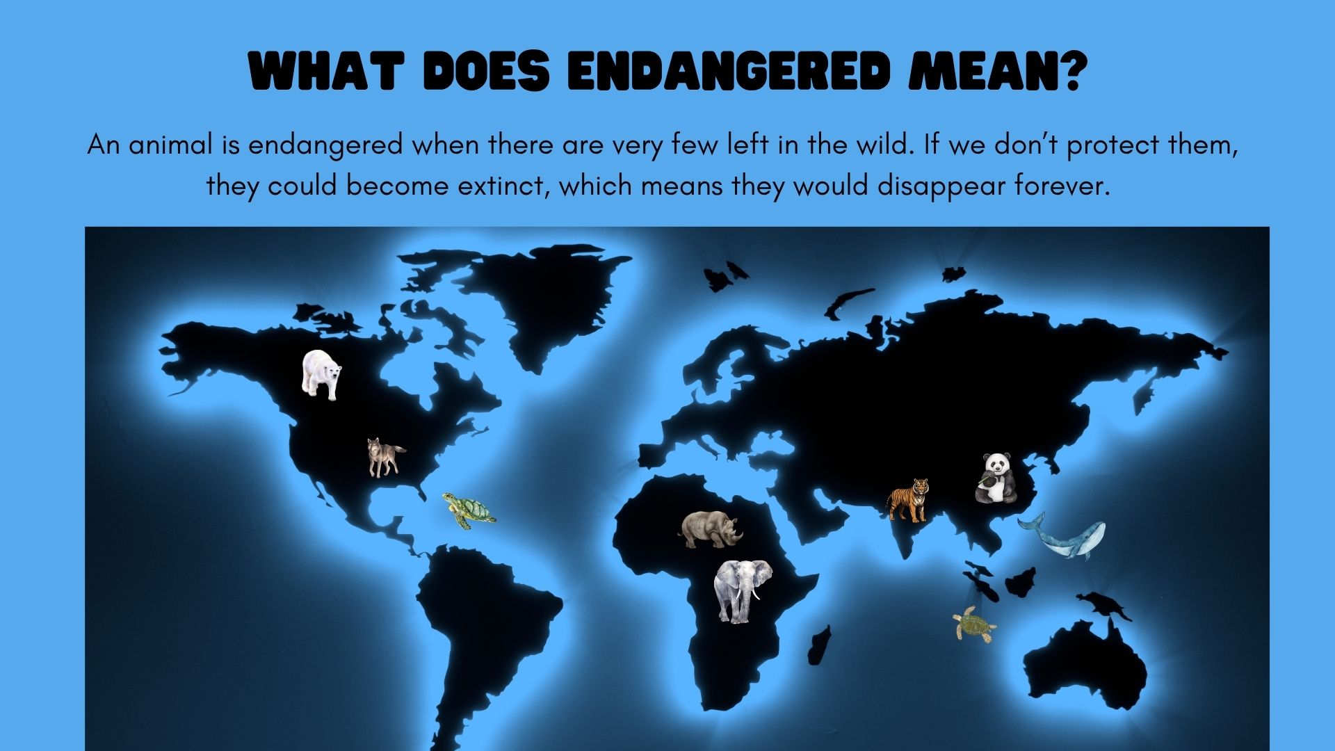 Endangered animals - Bærekraftig utvikling- undervisningsopplegg - Bilde 5