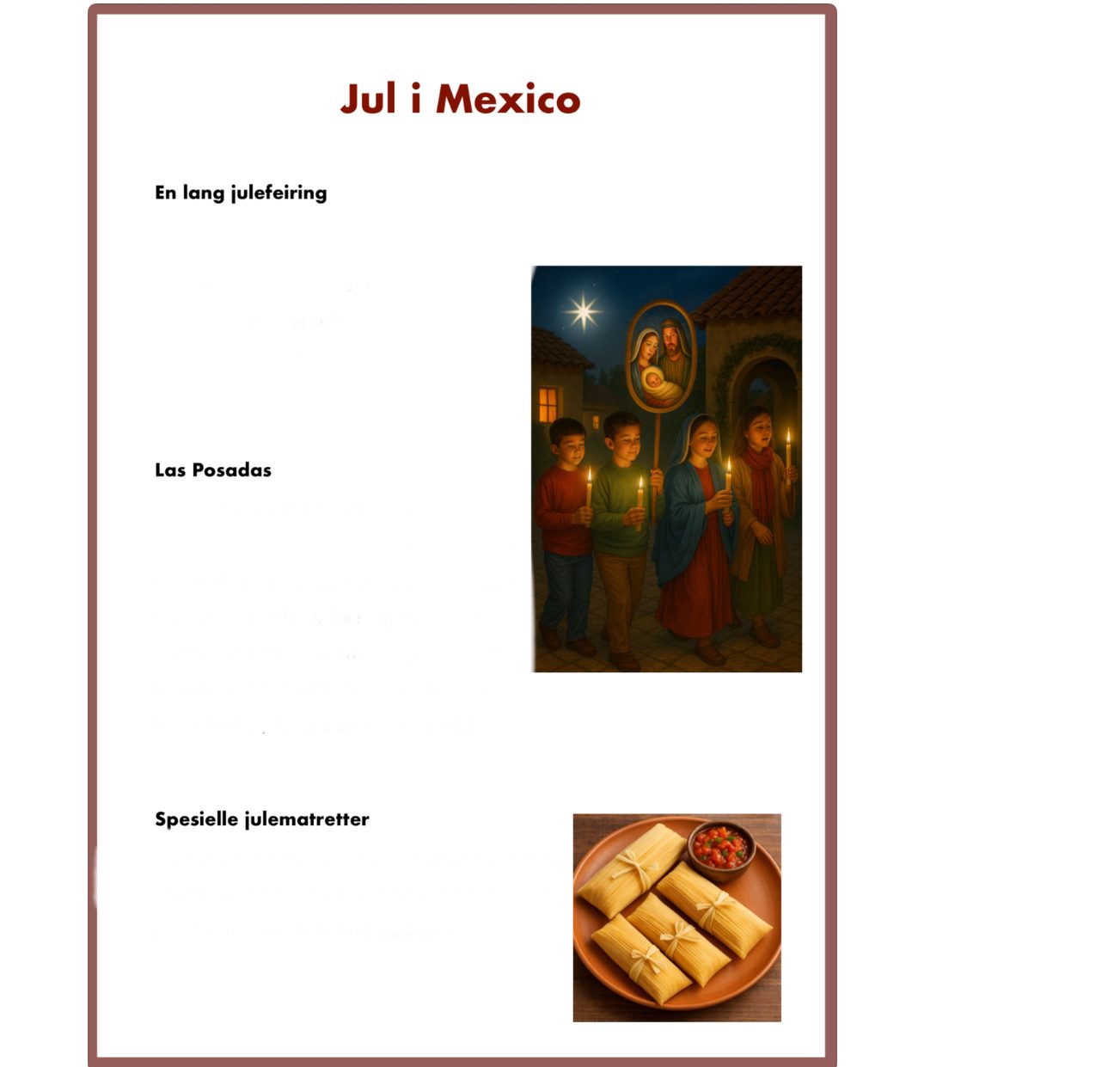 Julefeiring i andre land - Arbeidshefte - Bilde 3