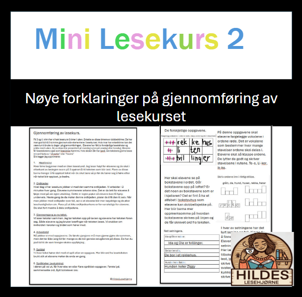 Mini lesekurs 2 - Jul - Bilde 5