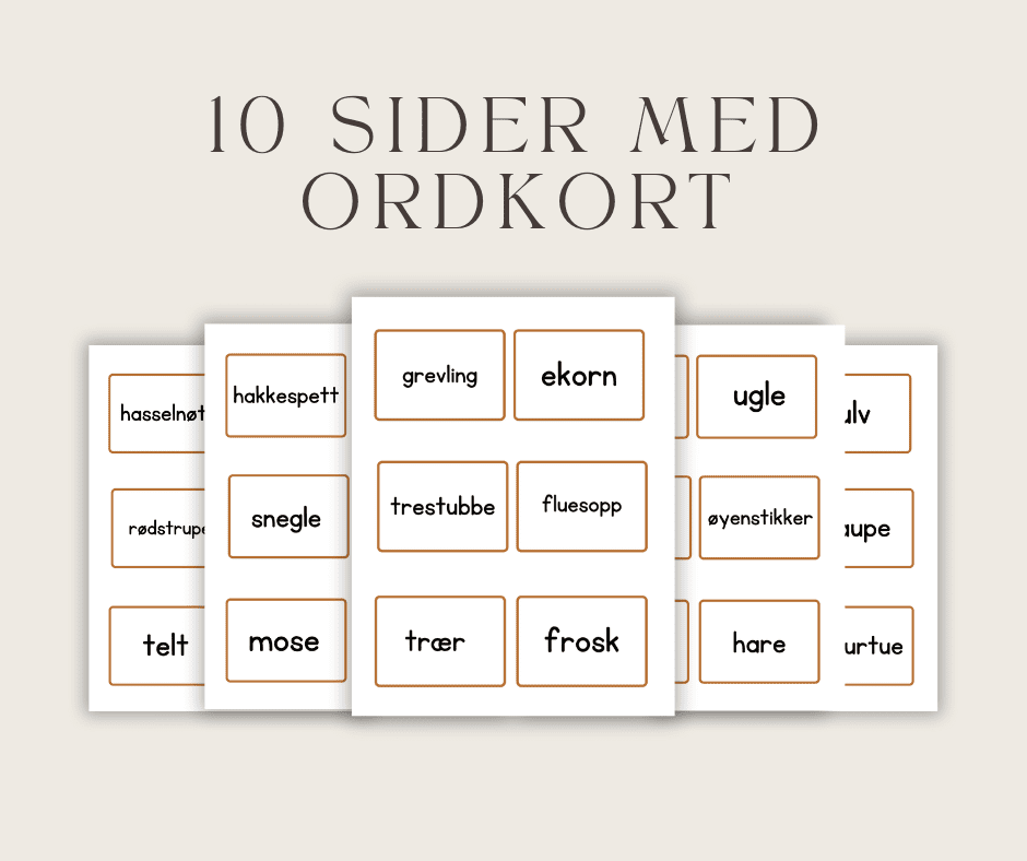 Begrepsspill med skogstema - Bilde 2