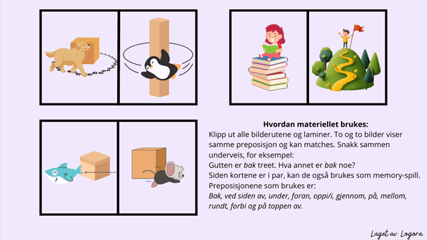 Preposisjonskort