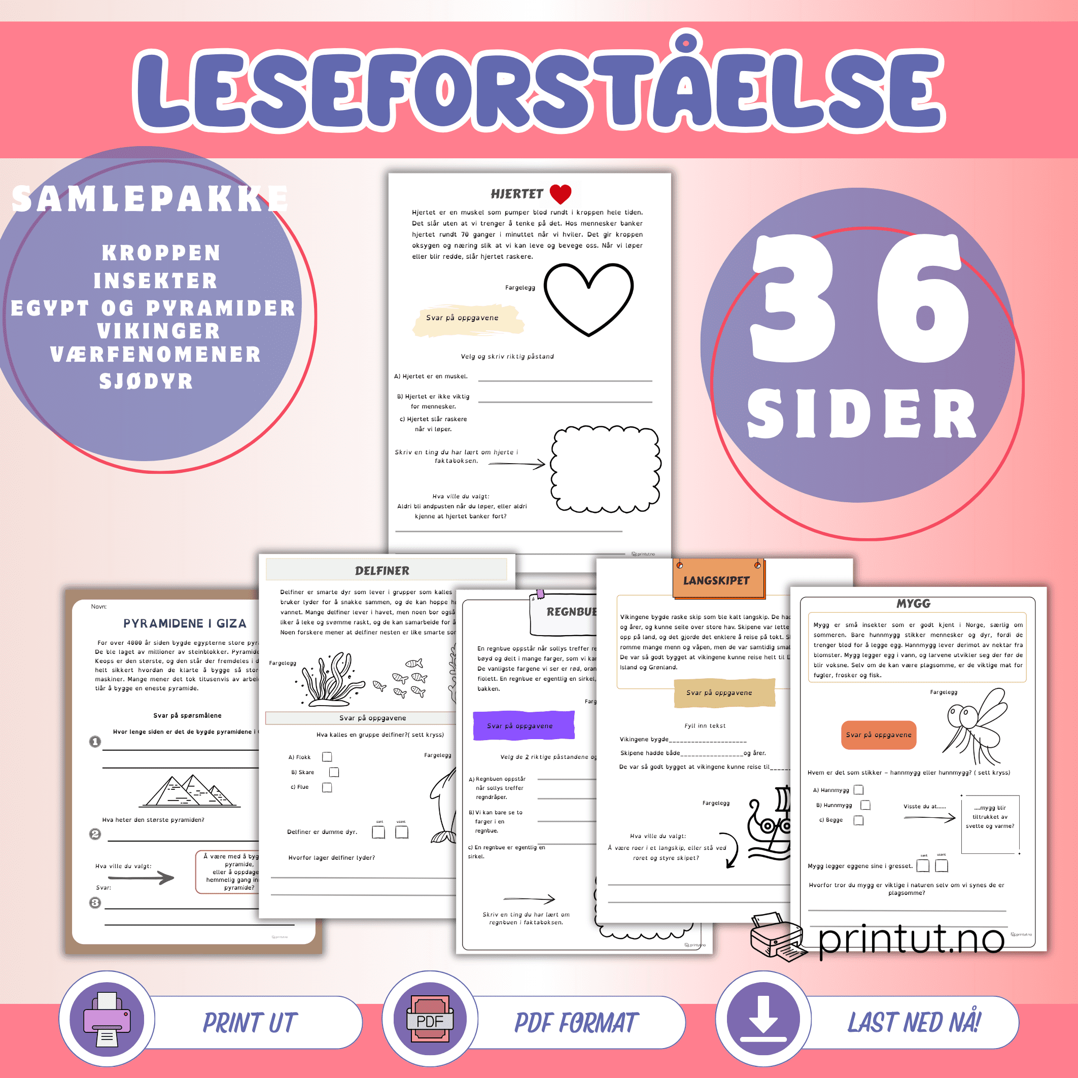 leseforståelse barneskole