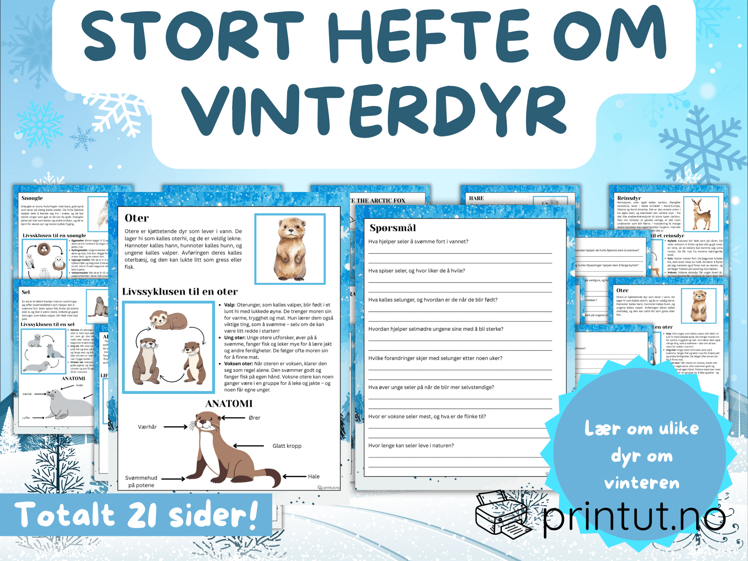 Leseforståelse VINTERDYR - 21 sider - Bilde 2