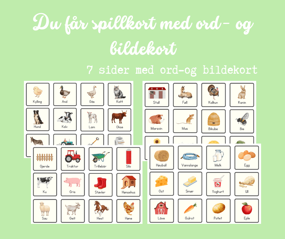 Begrepsspill: bondegård - Bilde 2