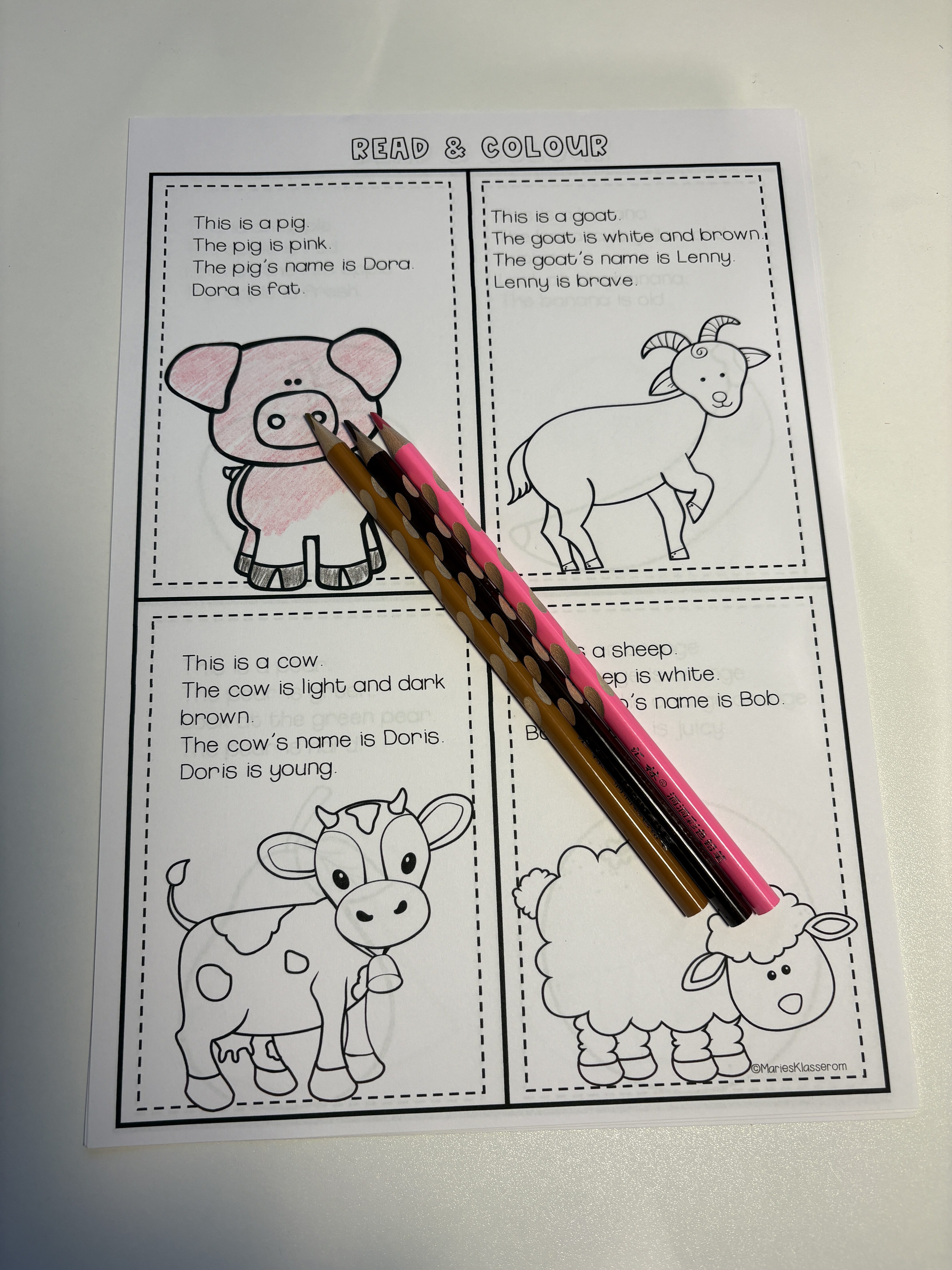 READ AND COLOUR - Bilde 4