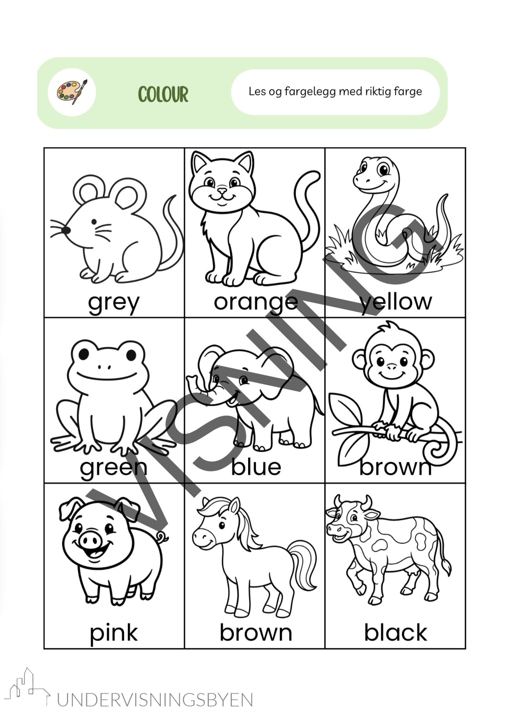 Animals 2.-3. trinn - Bilde 7