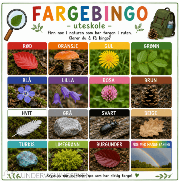 Fargebingo uteskole