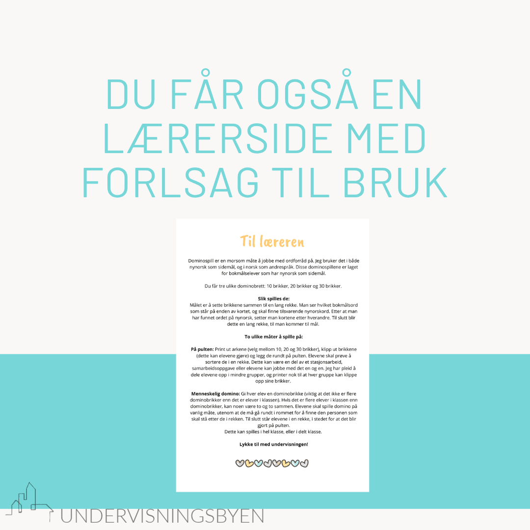 Domino: Bokmål til nynorsk (3 dominospill, 3 nivåer) - Bilde 2
