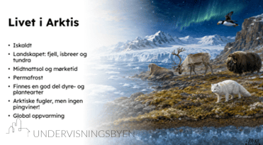Undervisningsopplegg: ARKTIS - Bilde 2