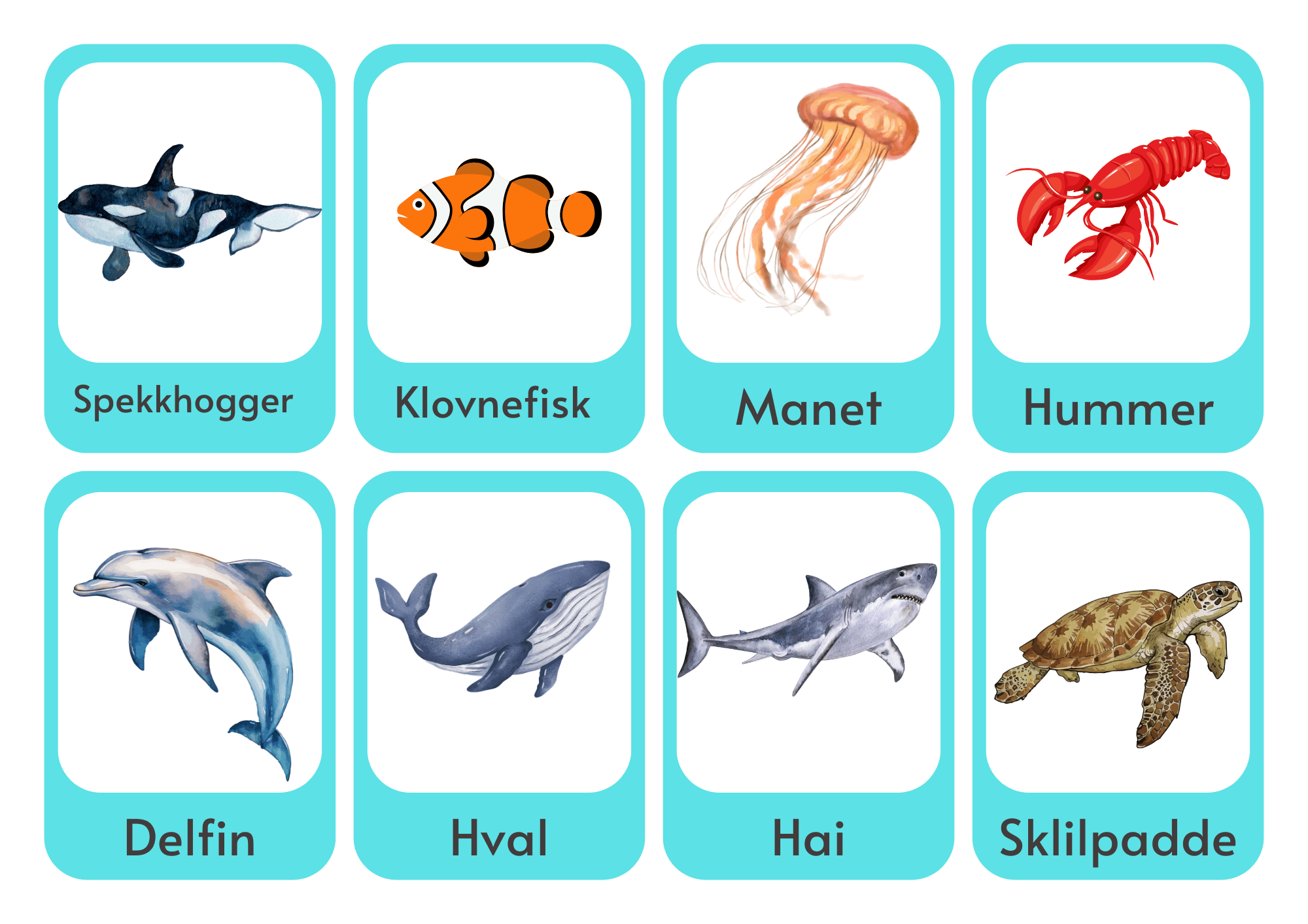 Samlepakke om dyr i havet - Bilde 2