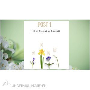 Natursti sommer matte 1. - 2. trinn NN/BM