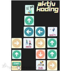 Aktiv koding