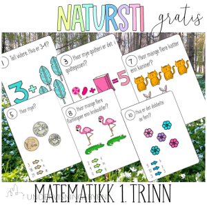 Natursti matematikk