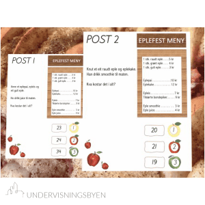 NATURSTI EPLEDAGEN 2.-4. trinn NN og BM