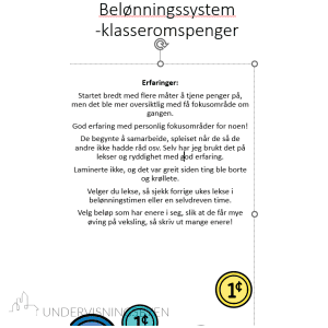 Belønningssystem BM NN