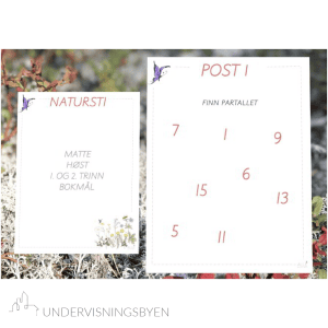 Natursti matte høst 1.-2.trinn BM/NN