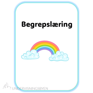 Kort til begrepslæring