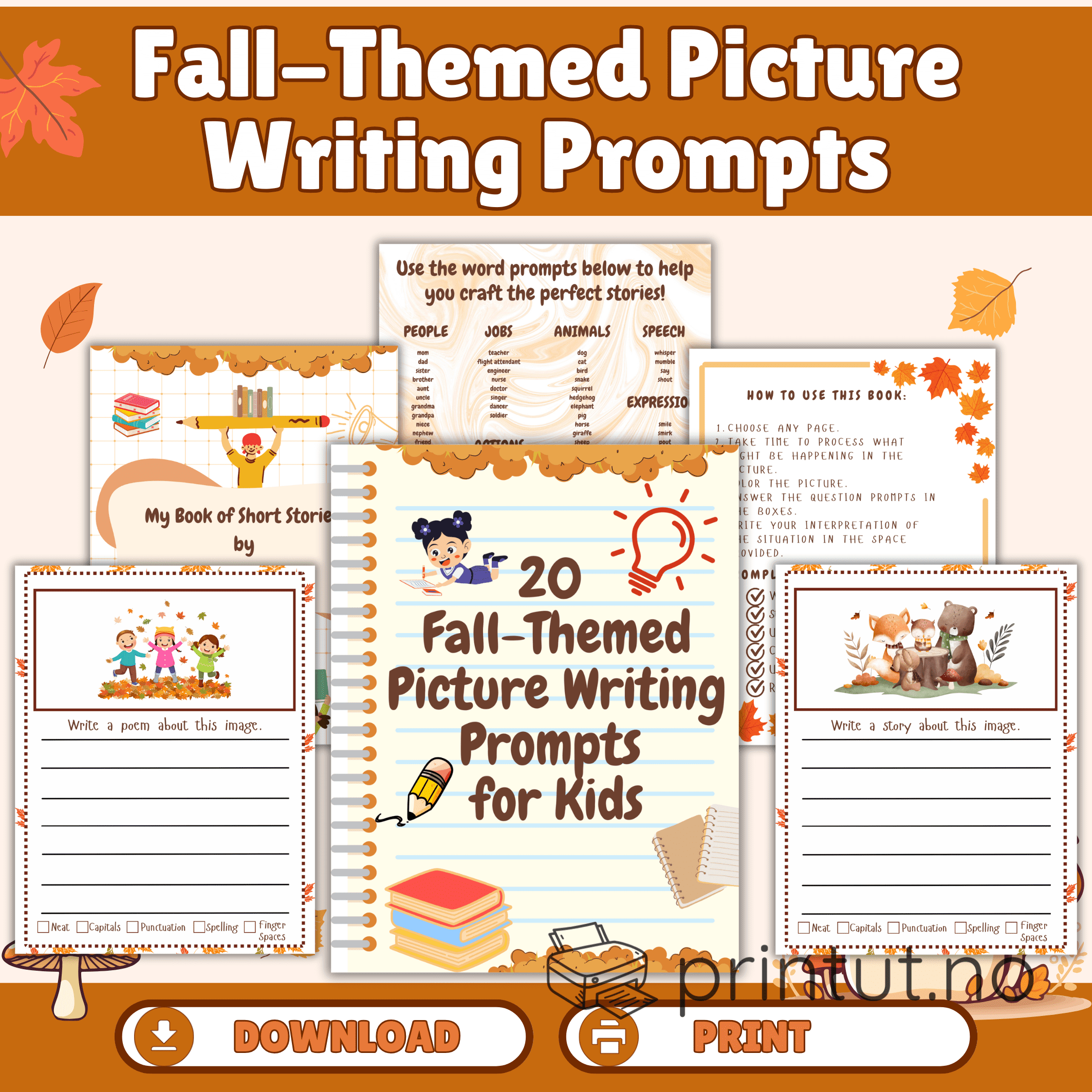 Picture writing