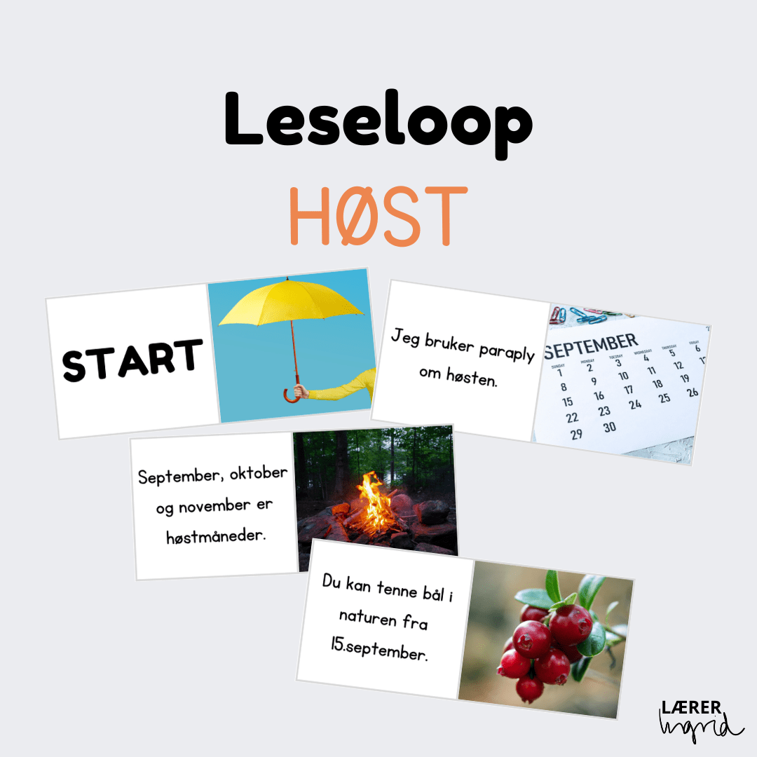 Leseloop høst (bm)