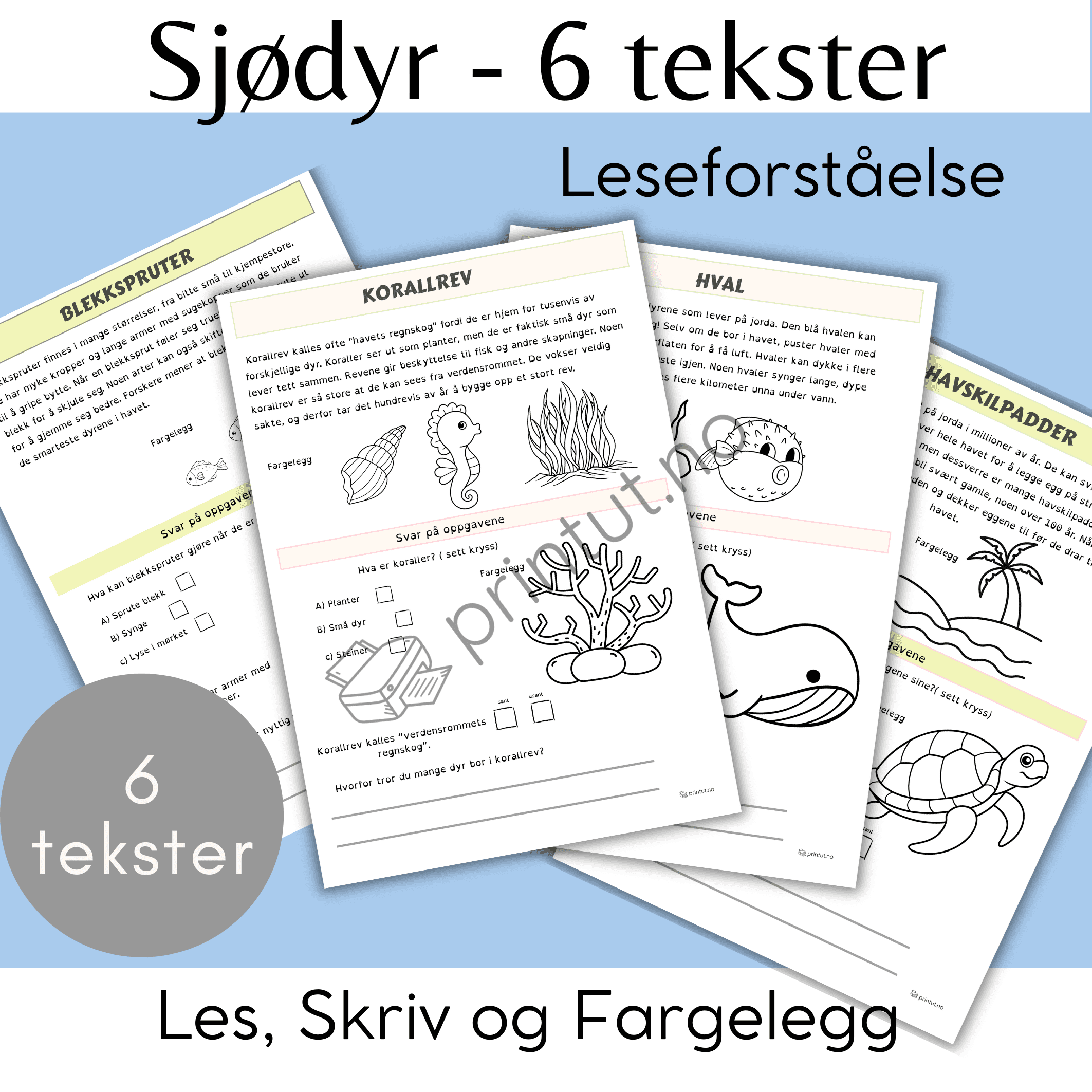 Sjødyr