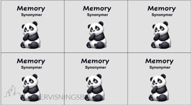 Memory - synonymer