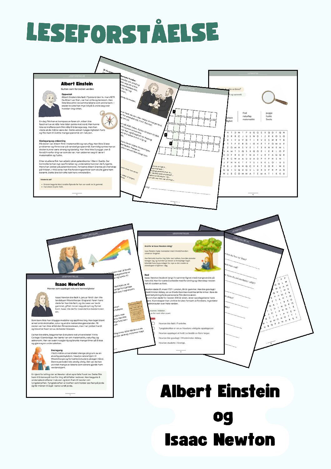 Einstein og Newton