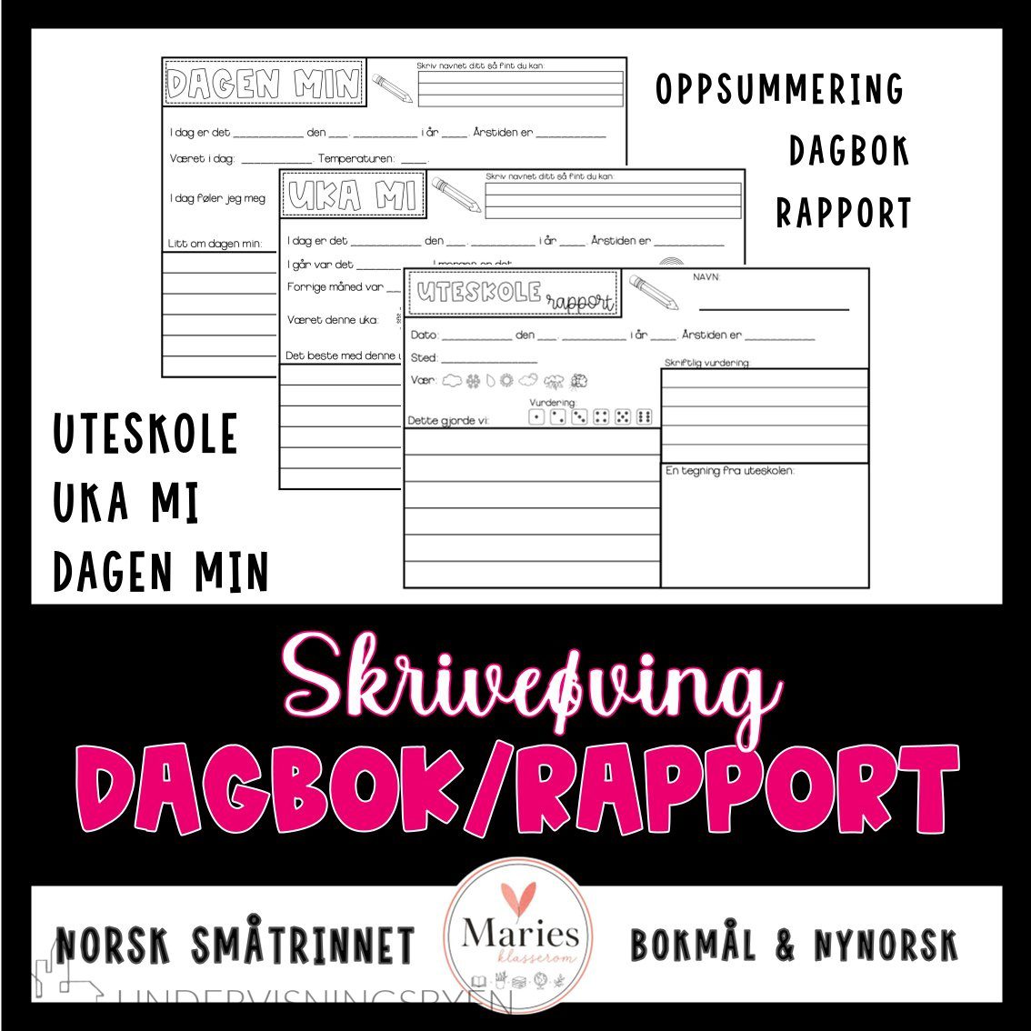 DAGBOK - RAPPORT