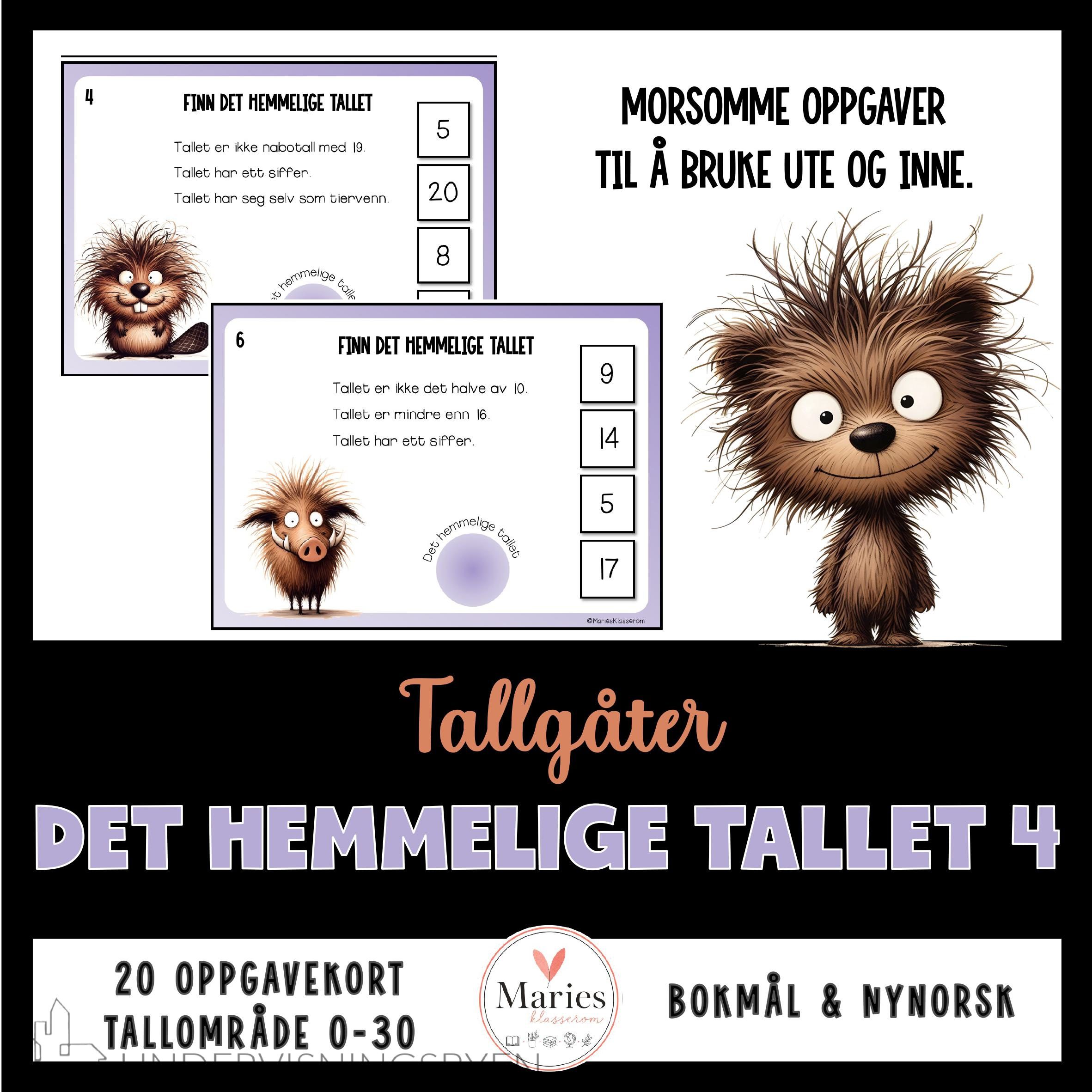 DET HEMMELIGE TALLET 4 tallgåter